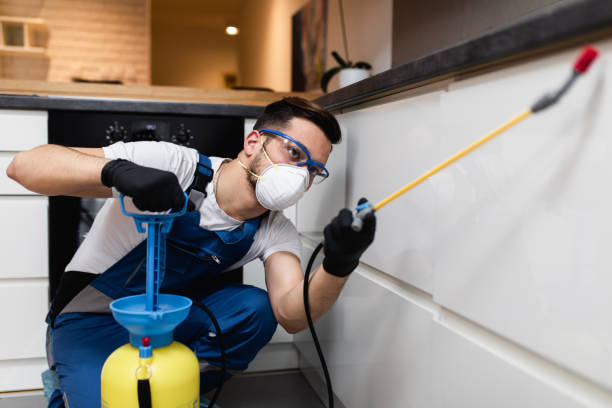 Best Flea Control Services  in Independence, IA