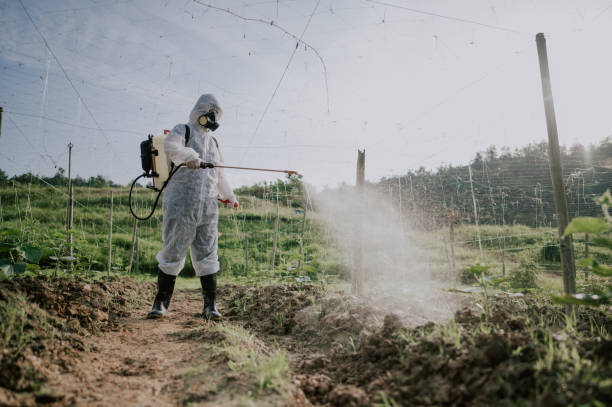 Best Mosquito Control Services  in Independence, IA