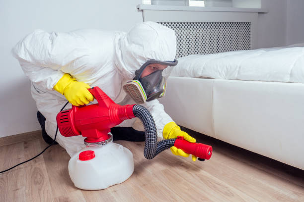 Best Termite Control Services  in Independence, IA