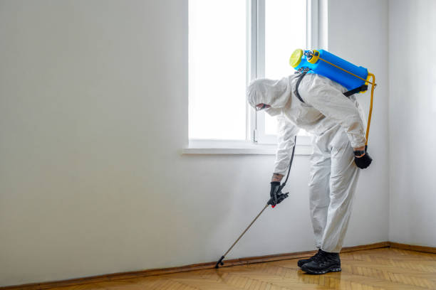 Best Emergency Pest Control  in Independence, IA