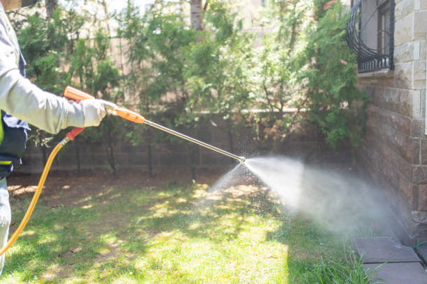 Best Best Pest Control Companies  in Independence, IA