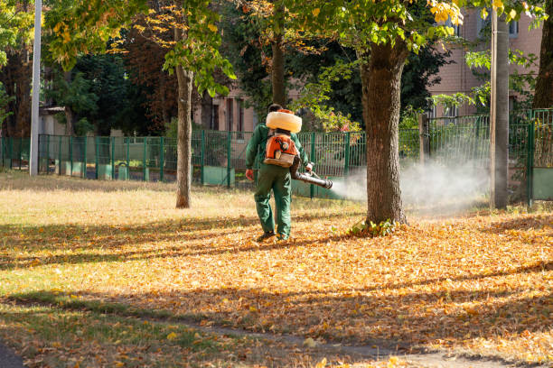 Best Local Pest Control Services  in Independence, IA