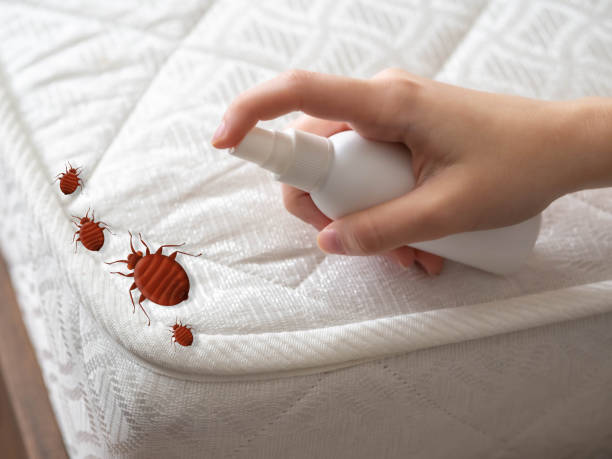 Best Pest Removal Services  in Independence, IA