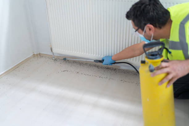 Best Affordable Pest Control Services  in Independence, IA